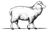 Cripps&co logo